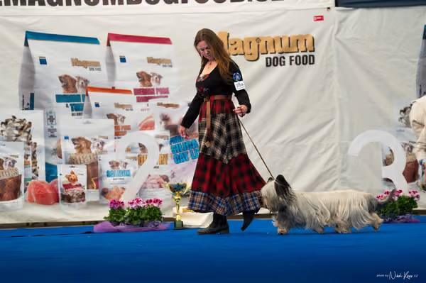 For Pets Cup – DOSPĚLÝ