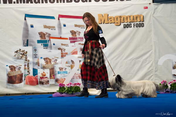 For Pets Cup – DOSPĚLÝ