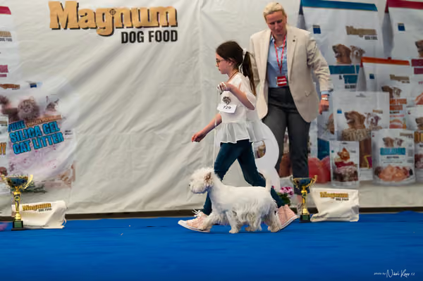 For Pets Cup – DOSPĚLÝ