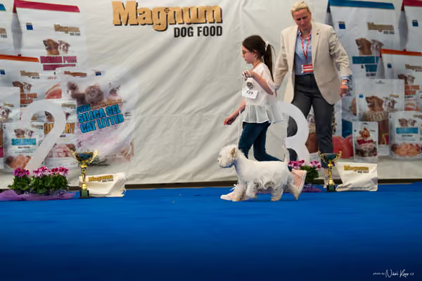 For Pets Cup – DOSPĚLÝ