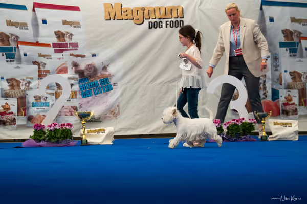 For Pets Cup – DOSPĚLÝ