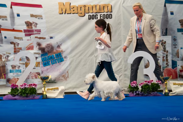 For Pets Cup – DOSPĚLÝ