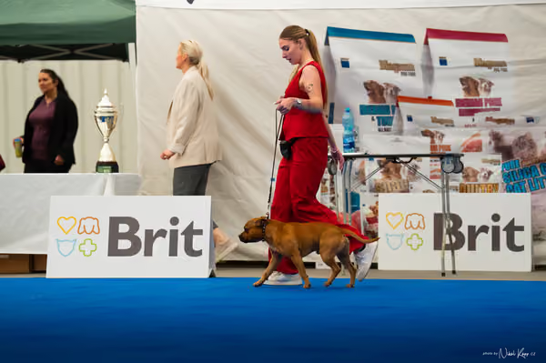 For Pets Cup – DOSPĚLÝ