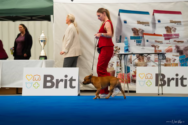 For Pets Cup – DOSPĚLÝ