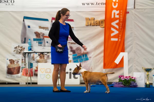 For Pets Cup – DOSPĚLÝ
