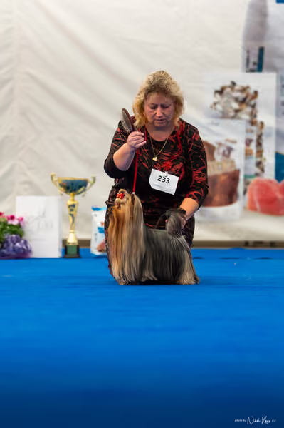 For Pets Cup – DOSPĚLÝ
