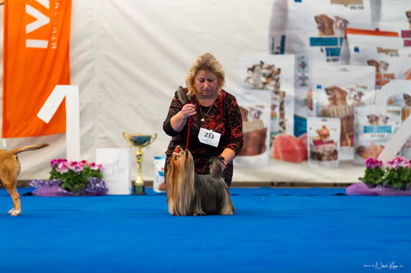 For Pets Cup – DOSPĚLÝ