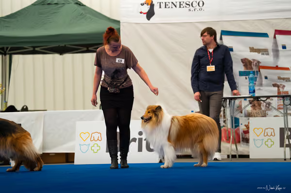 For Pets Cup — DSC03989
