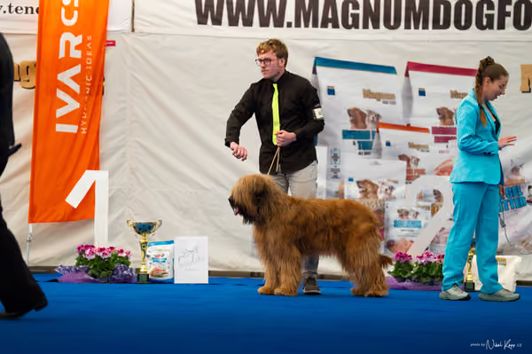 For Pets Cup — DSC03991