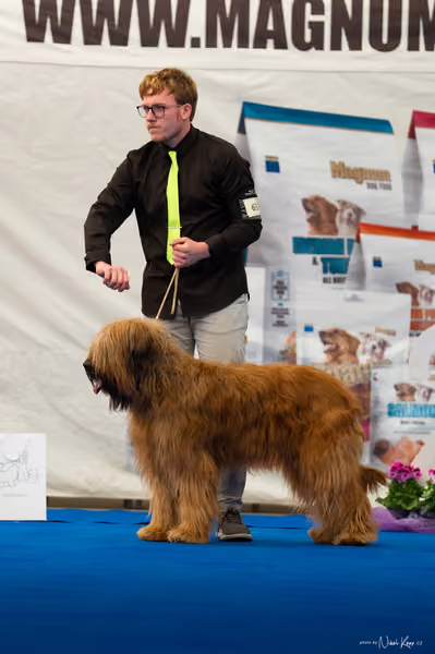 For Pets Cup — DSC03992