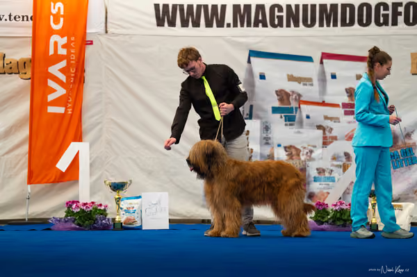 For Pets Cup — DSC03993