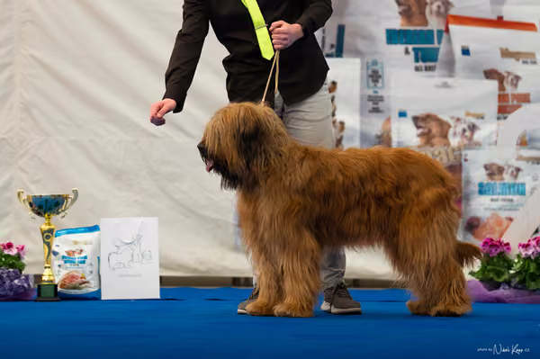 For Pets Cup — DSC03994