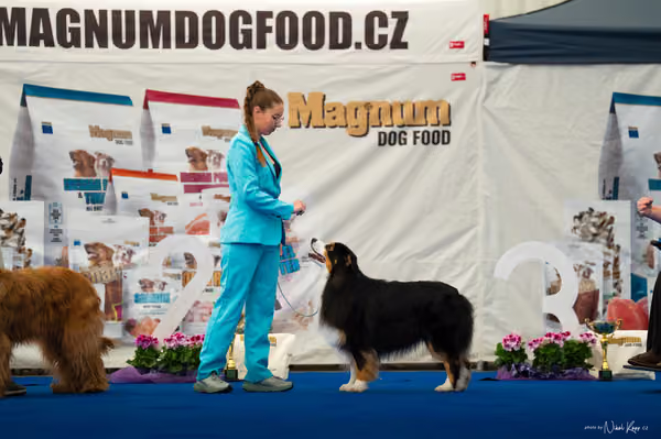 For Pets Cup – DOSPĚLÝ