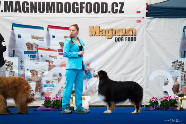 For Pets Cup – DOSPĚLÝ