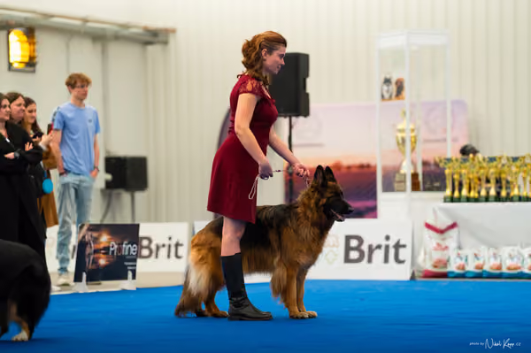 For Pets Cup – DOSPĚLÝ