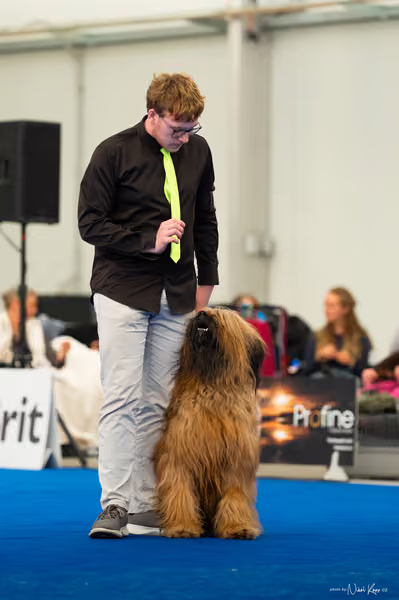 For Pets Cup – DOSPĚLÝ