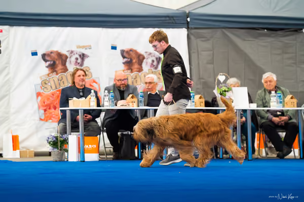 For Pets Cup – DOSPĚLÝ