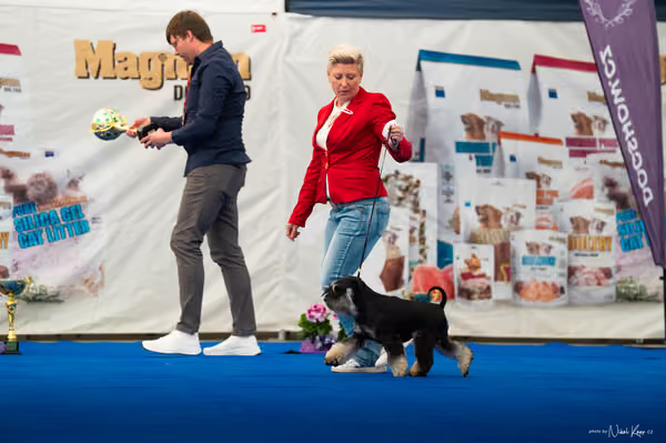 For Pets Cup – DOSPĚLÝ