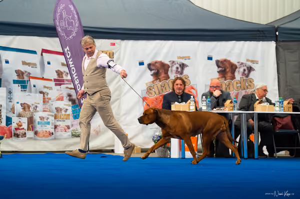 For Pets Cup – DOSPĚLÝ