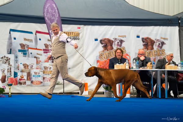 For Pets Cup – DOSPĚLÝ