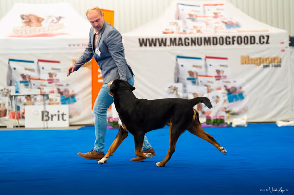 For Pets Cup – DOSPĚLÝ