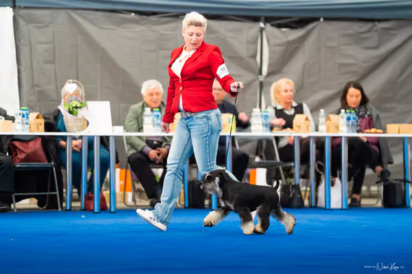 For Pets Cup – DOSPĚLÝ