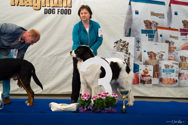 For Pets Cup – DOSPĚLÝ