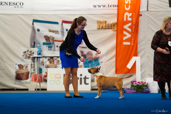 For Pets Cup – DOSPĚLÝ
