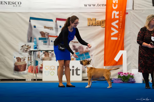 For Pets Cup – DOSPĚLÝ