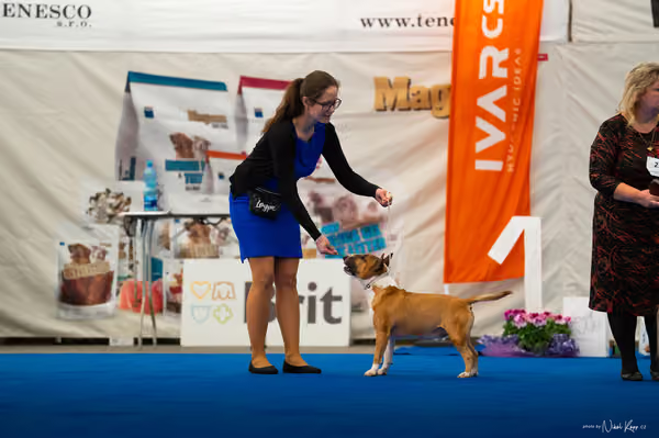 For Pets Cup – DOSPĚLÝ