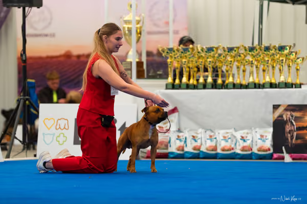 For Pets Cup – DOSPĚLÝ