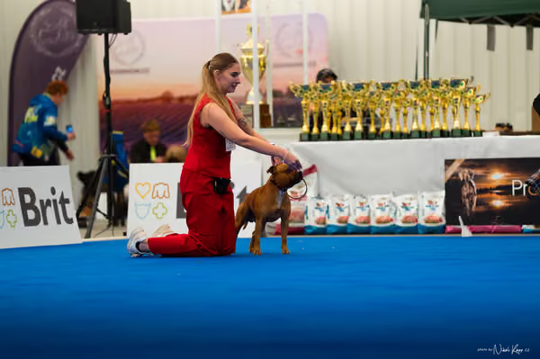 For Pets Cup – DOSPĚLÝ