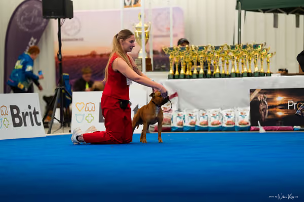 For Pets Cup – DOSPĚLÝ