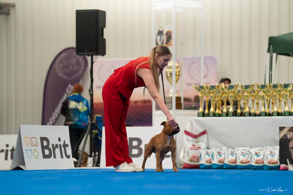 For Pets Cup – DOSPĚLÝ
