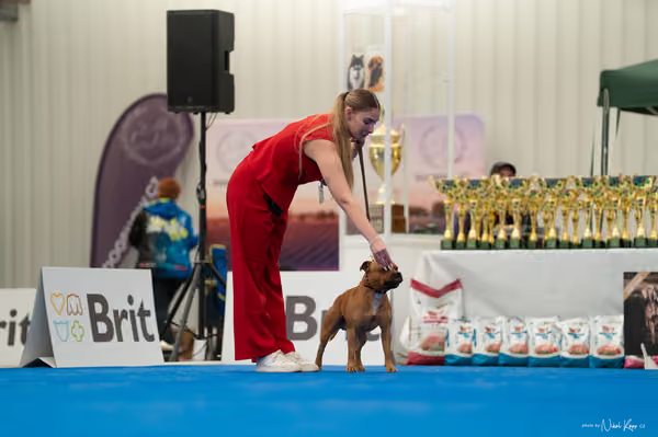 For Pets Cup – DOSPĚLÝ