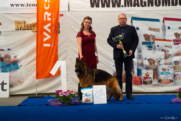 For Pets Cup – DOSPĚLÝ