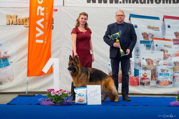For Pets Cup – DOSPĚLÝ