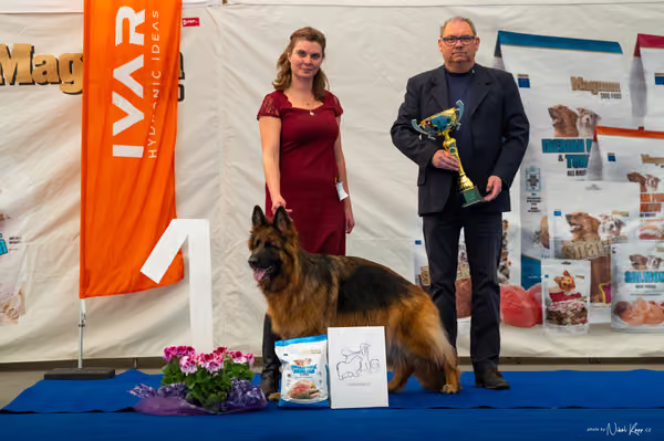 For Pets Cup – DOSPĚLÝ