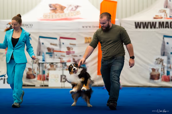 For Pets Cup – DOSPĚLÝ