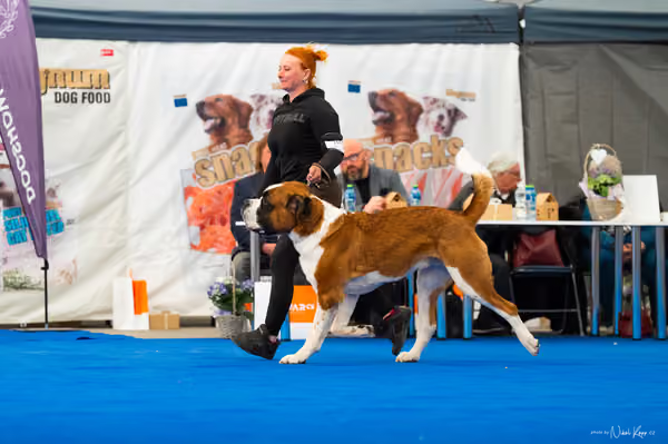 For Pets Cup – DOSPĚLÝ