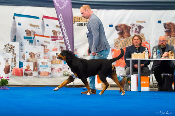 For Pets Cup – DOSPĚLÝ