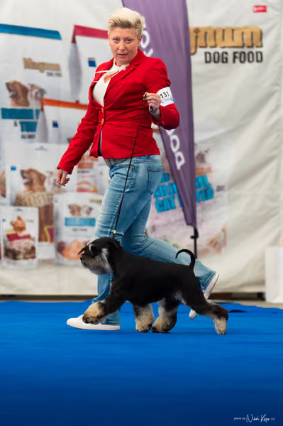For Pets Cup – DOSPĚLÝ