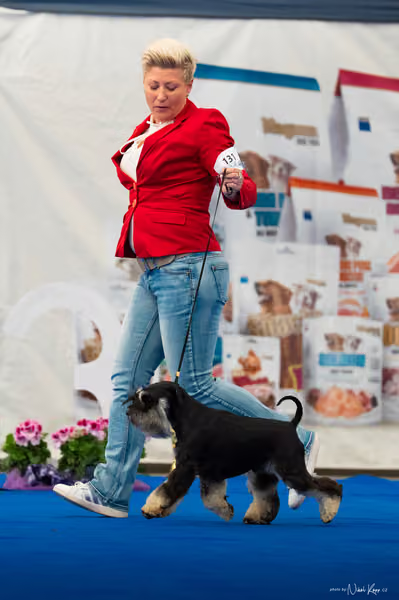 For Pets Cup – DOSPĚLÝ