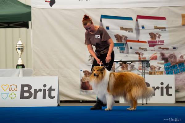 For Pets Cup — DSC03954