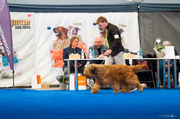 For Pets Cup — DSC03958