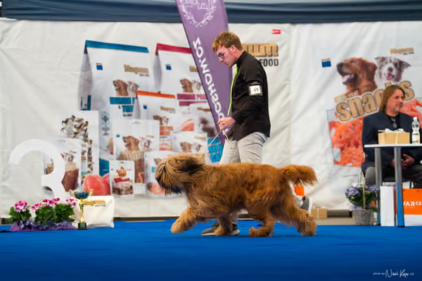 For Pets Cup — DSC03960