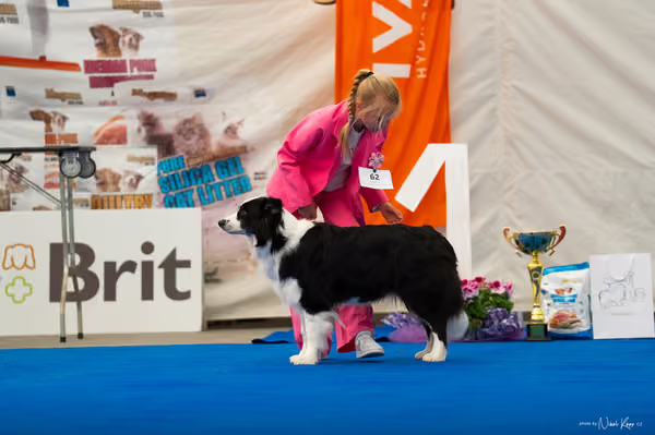 For Pets Cup — DSC03965