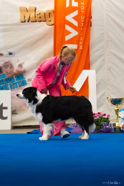 For Pets Cup — DSC03966