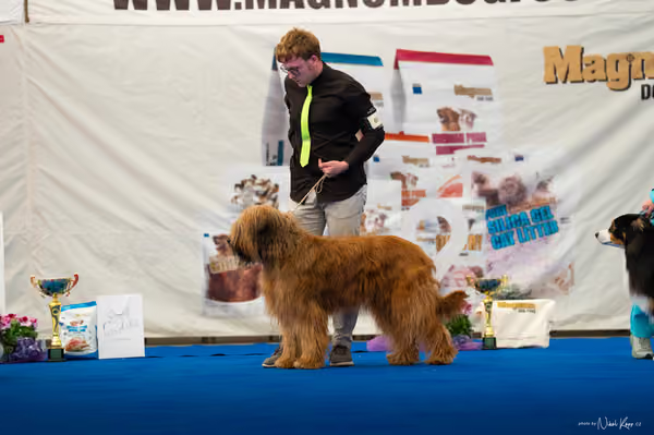 For Pets Cup — DSC03968