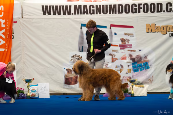 For Pets Cup — DSC03970